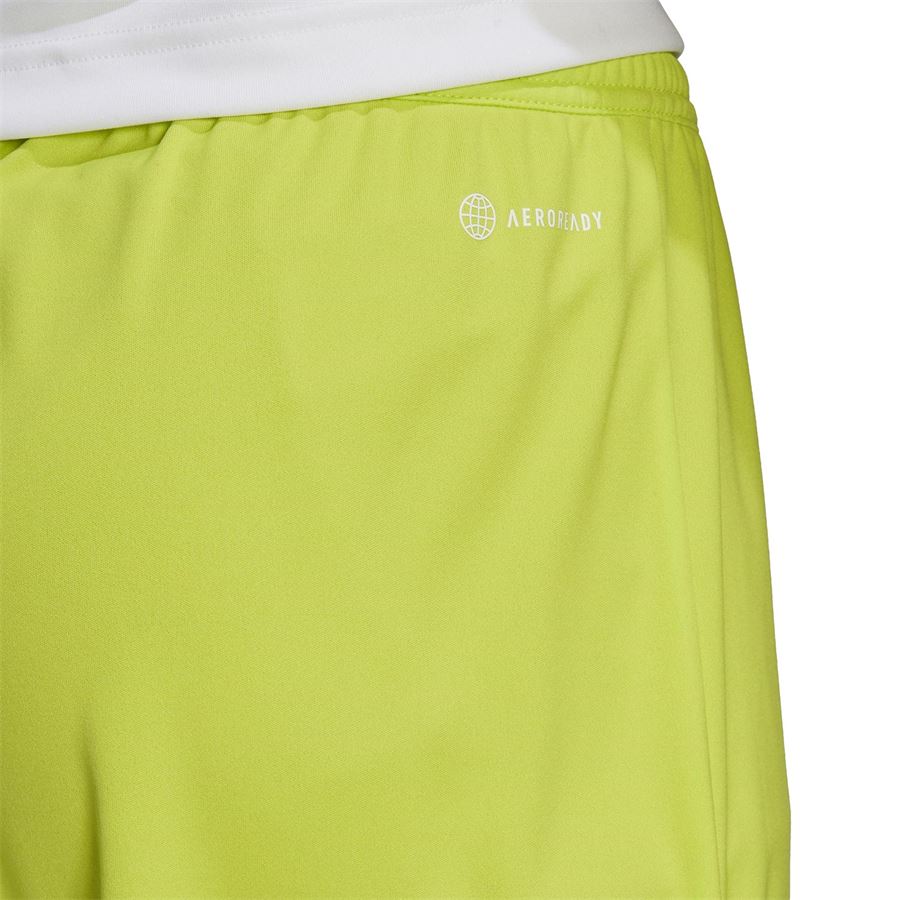 ENT22 SHORT Adidas | HC5061X